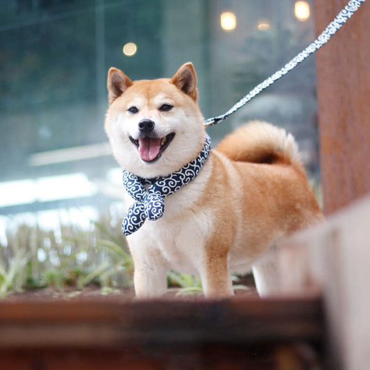 KFX-1537341 Cotton Japanese Style Pet Collar for Dogs - Red, Green, Blue, Sizes S, M, L