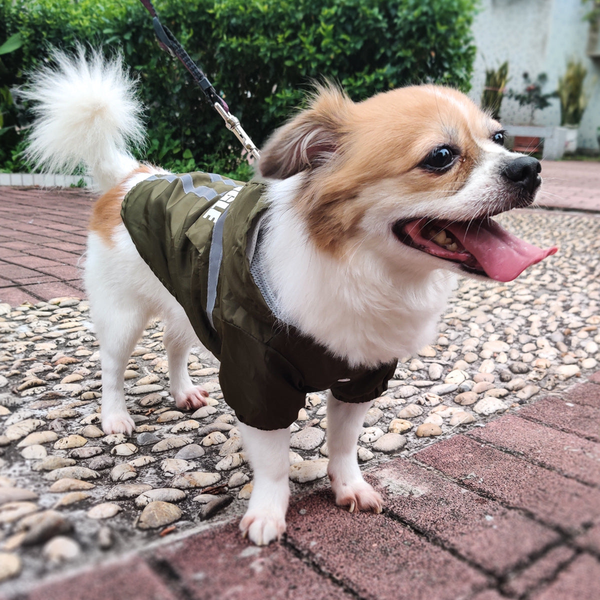 KFX-1537725 Reflective Pet Raincoat in Dark Green and Fluorescent Yellow - Casual Polyester Design