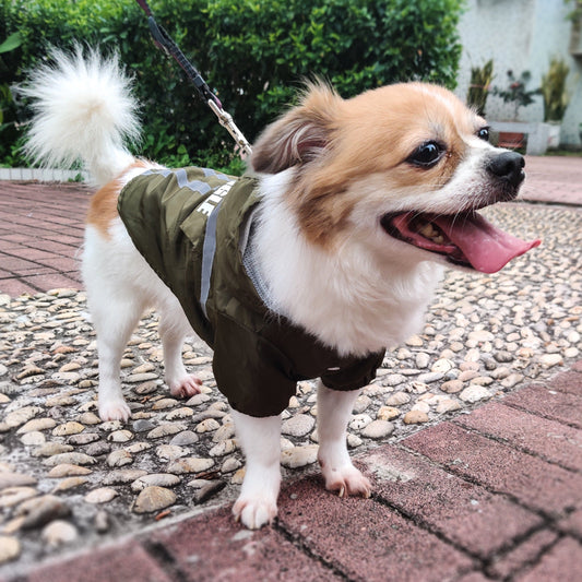 KFX-1537725 Reflective Pet Raincoat in Dark Green and Fluorescent Yellow - Casual Polyester Design