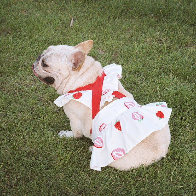 KFX-1541693 Lotus Leaf Lace Suspender Skirt for Small and Medium Dogs and Cats - Ruffled Sling Design with Strawberry Print