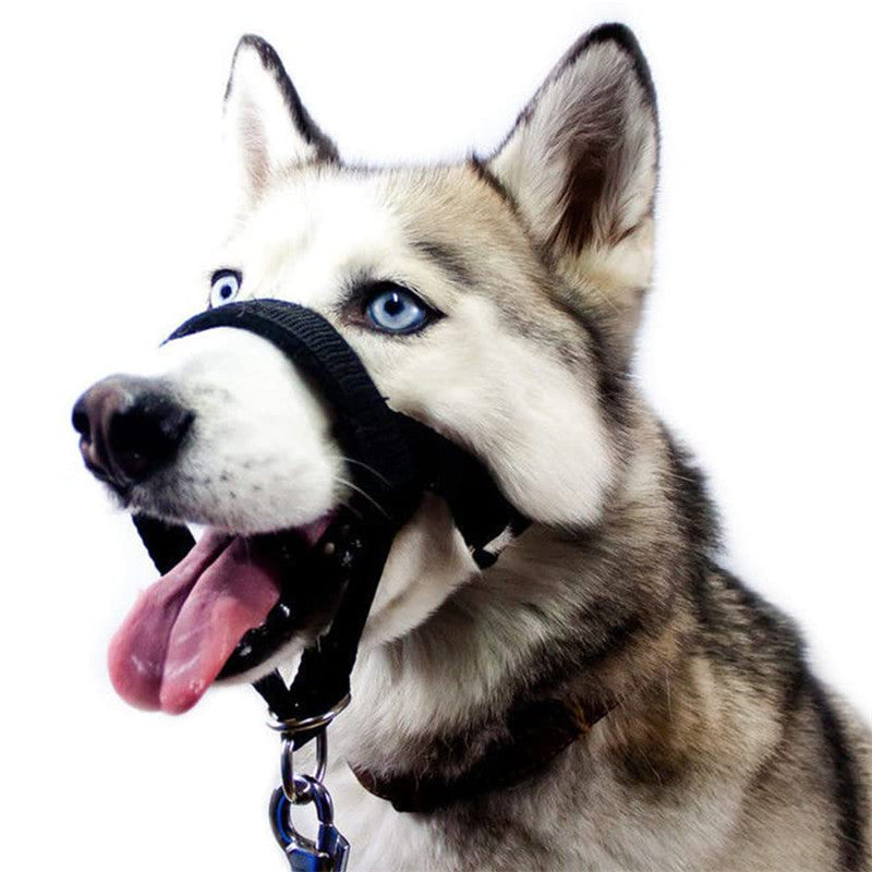 KFX-1542589 Adjustable Anti-Bite Nylon Dog Muzzle with Traction Suit Design, Available in Multiple Sizes