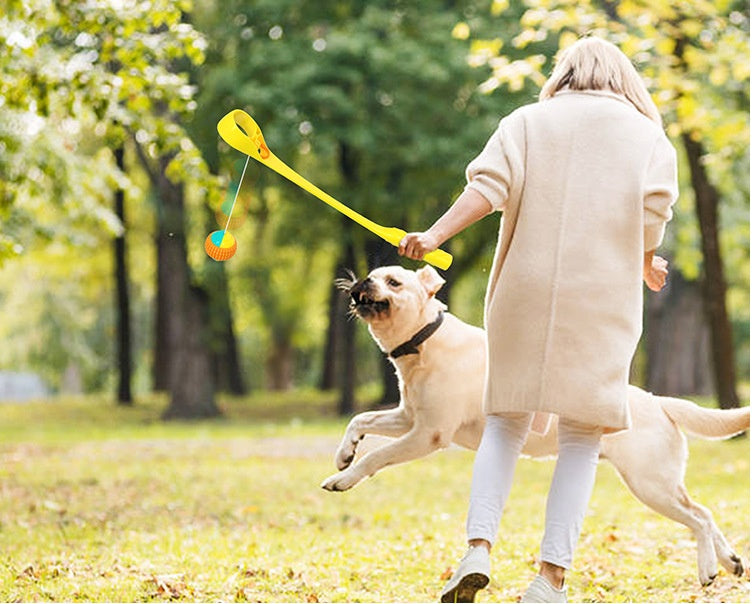 KFX-1551677 Outdoor Dog Toy Ball Thrower - Plastic, 173g, Blue/Sky Blue, Multifunctional