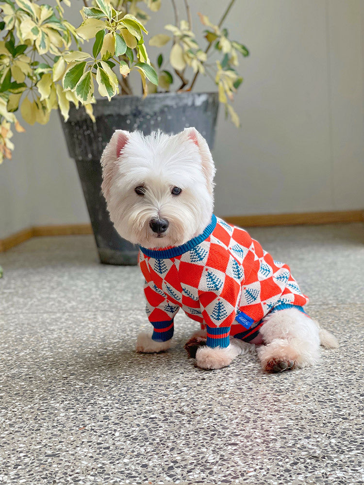 KFX-1554621 Cozy Orange Wool Sweater for Cats and Dogs - Winter Apparel in Multiple Sizes