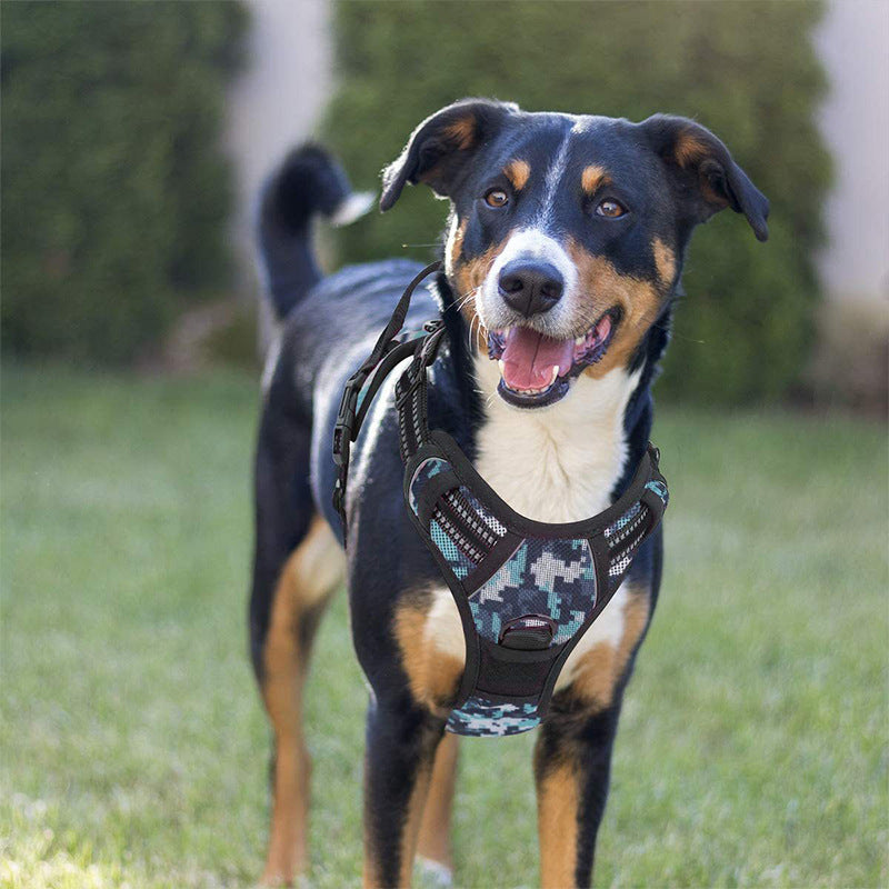 KFX-1555901 Pet Dog Hand Holding Rope Chest Strap - Multiple Colors Available, Durable Cloth Design