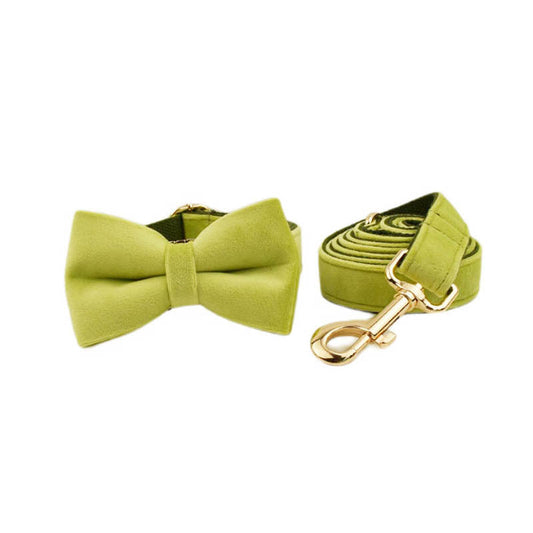 KFX-1558077 Soft Velvet Dog Collar Set with Rope, Bow, Flower, Vest, and Poop Bag