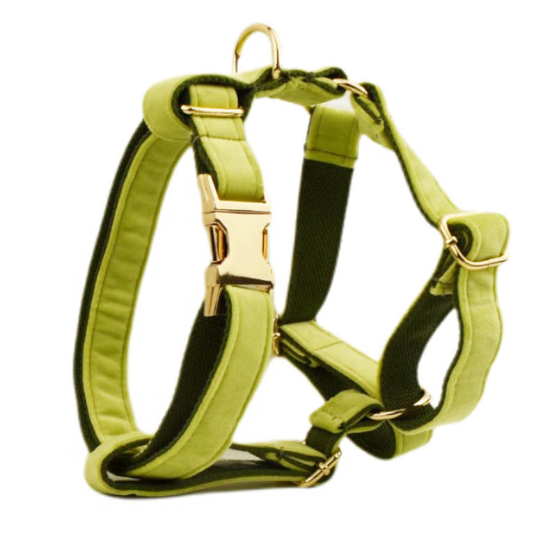 KFX-1558077 Soft Velvet Dog Collar Set with Rope, Bow, Flower, Vest, and Poop Bag
