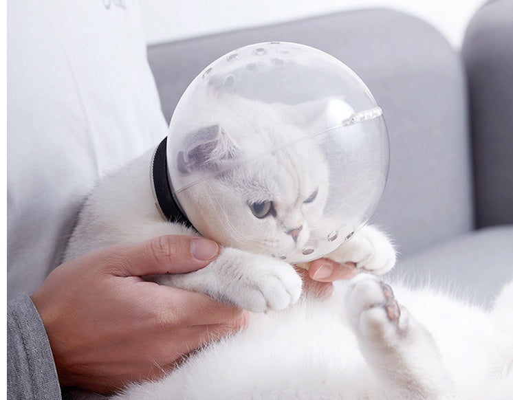 KFX-1558589 Breathable Plastic Cat Headgear - Space Hood Chew Toy for Playtime