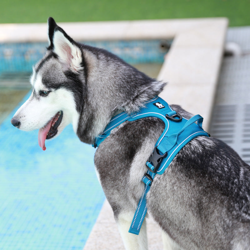 KFX-1561661 Durable Nylon Chest Strap with Traction Rope for Dogs in Multiple Colors