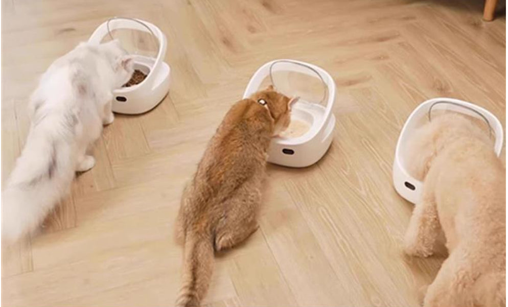 KFX-1566141 Smart Pet Feeder with Food Bowl, Ice Box, Collar and Charging Cable for Cats
