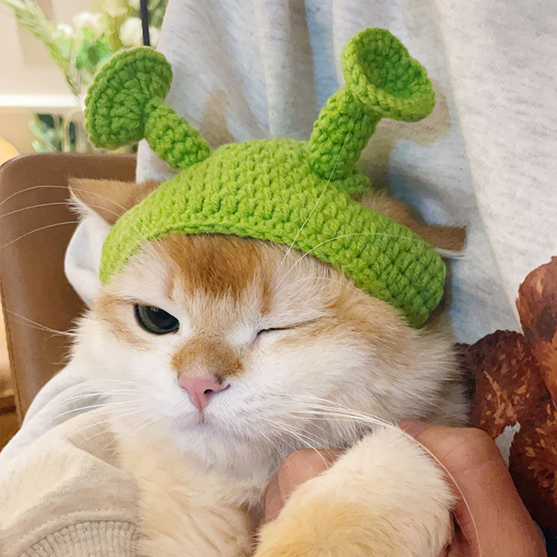 KFX-1567165 Green Plush Knitted Pet Hat for Spring and Summer, Adjustable Size for Small to Medium Pets