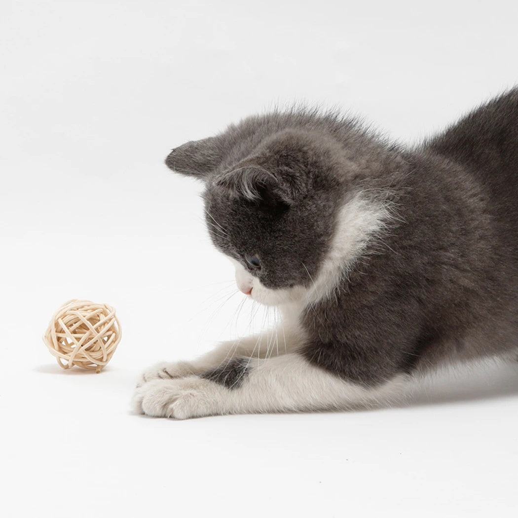 KFX-1569597 Interactive Rattan Ball Cat Toy Set with Faux Feather & Bell - 2pcs