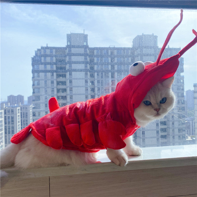 KFX-1575485 Lobster-Themed Funny Outfit for Cats - Sizes XS to XL