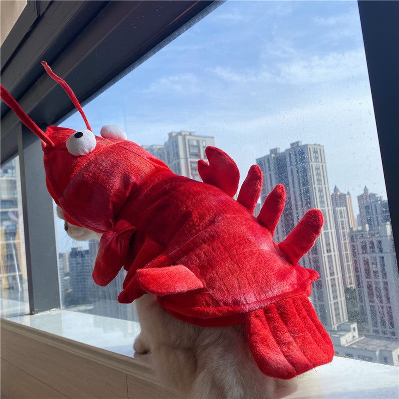 KFX-1575485 Lobster-Themed Funny Outfit for Cats - Sizes XS to XL