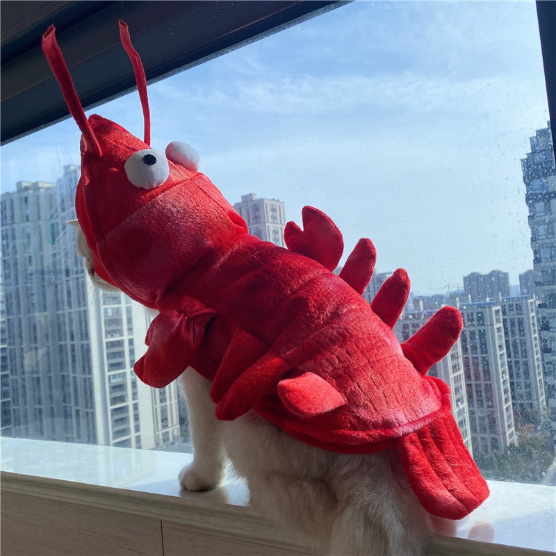 KFX-1575485 Lobster-Themed Funny Outfit for Cats - Sizes XS to XL