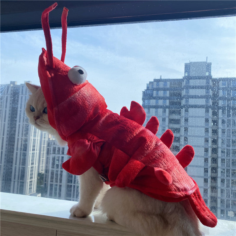 KFX-1575485 Lobster-Themed Funny Outfit for Cats - Sizes XS to XL
