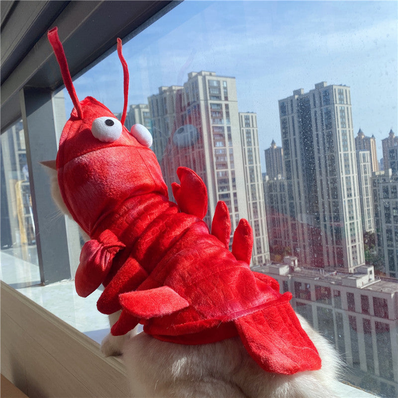 KFX-1575485 Lobster-Themed Funny Outfit for Cats - Sizes XS to XL