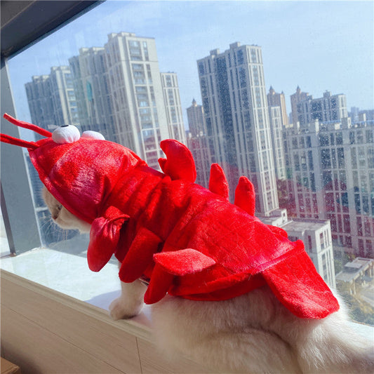 KFX-1575485 Lobster-Themed Funny Outfit for Cats - Sizes XS to XL