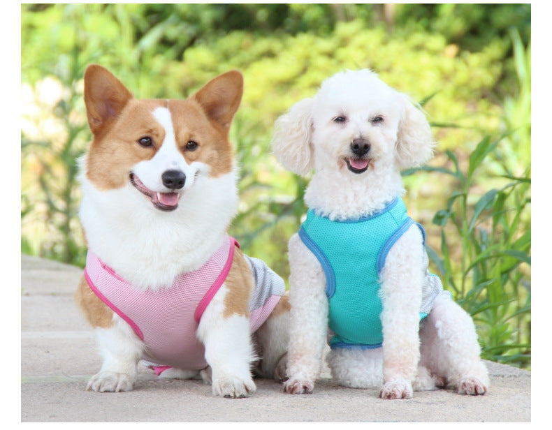 KFX-1582013 Cooling Pet Vest for Dogs - Reflective Summer Apparel in Cherry Blossom, Ice Blue, and Fruit Green, Sizes S to 11XL