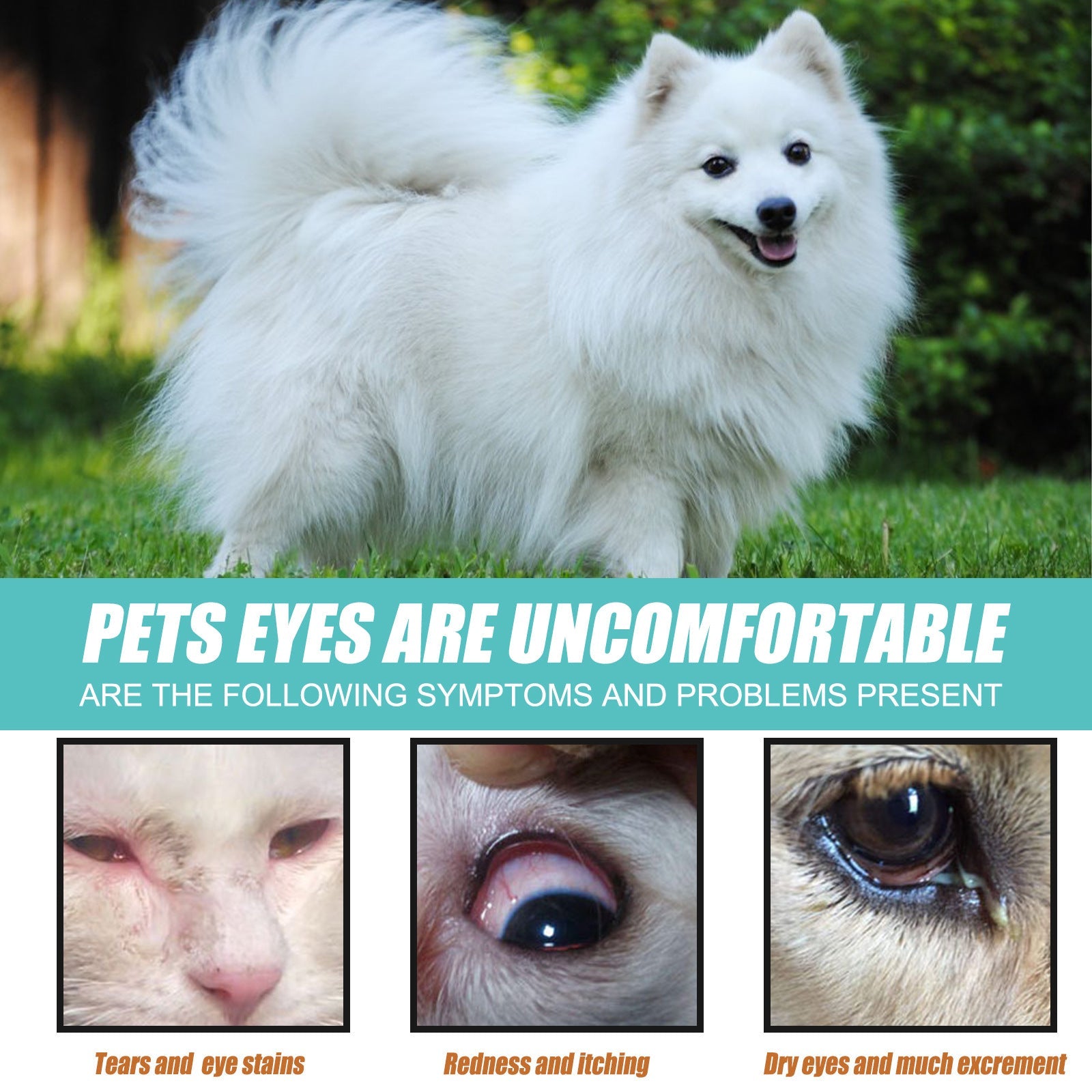 KFX-1586877 Pet External Eye Tear Stain Serum for Cats and Dogs - 20ml Tear Trace Remover