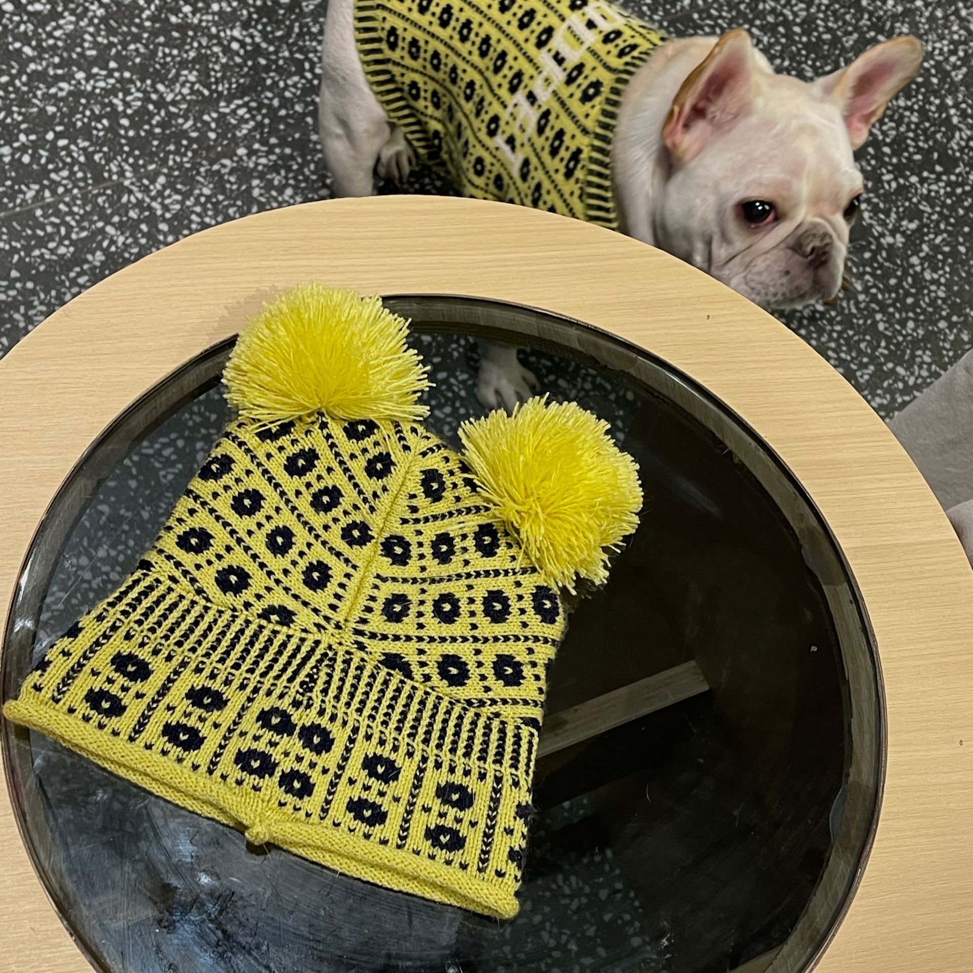 KFX-1587389 Cozy Winter Sweater and Hat Set for Dogs and Cats