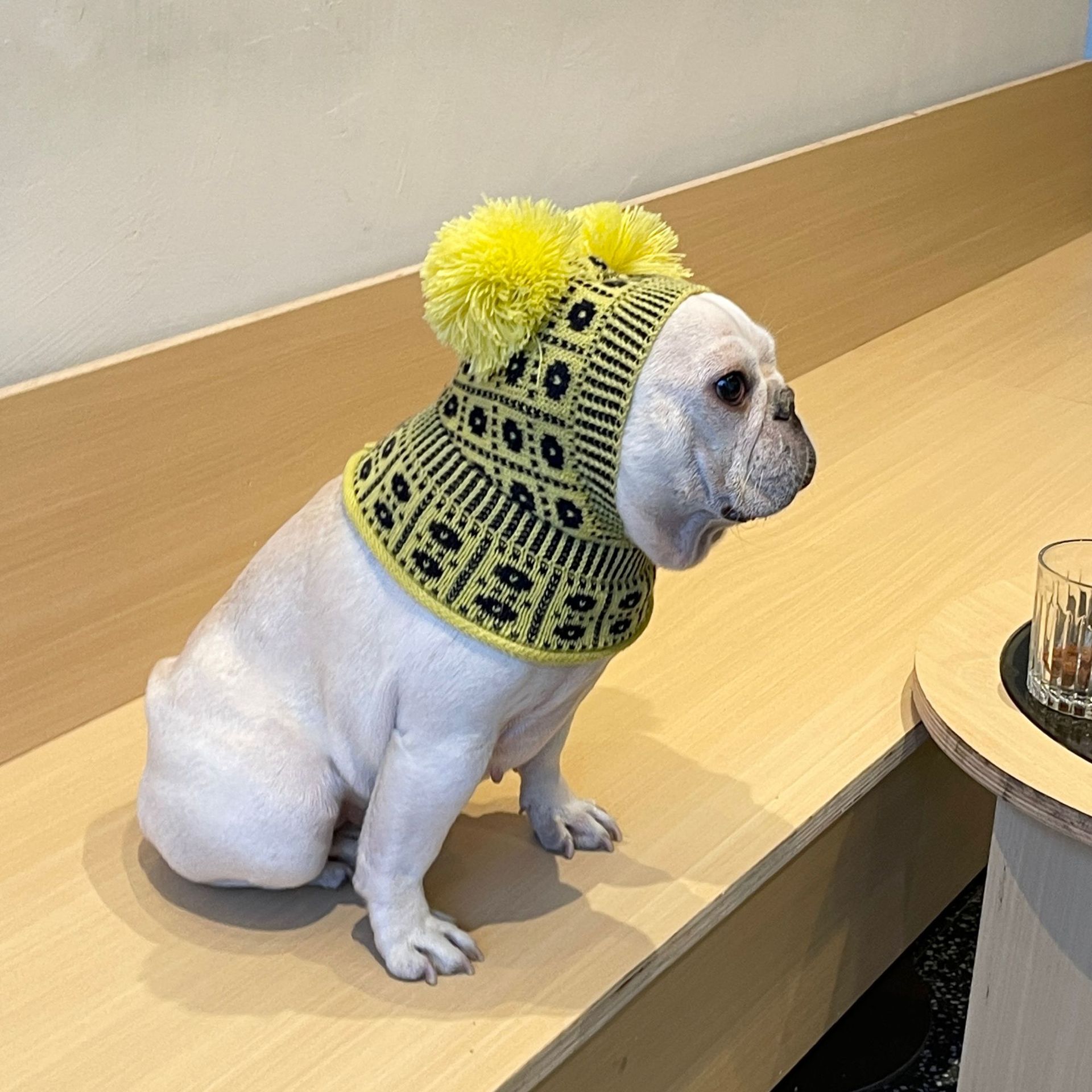 KFX-1587389 Cozy Winter Sweater and Hat Set for Dogs and Cats