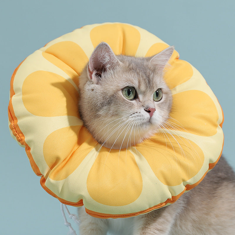KFX-1597117 Adjustable Waterproof Cat Headgear in Multiple Colors - Elizabeth Ring Design