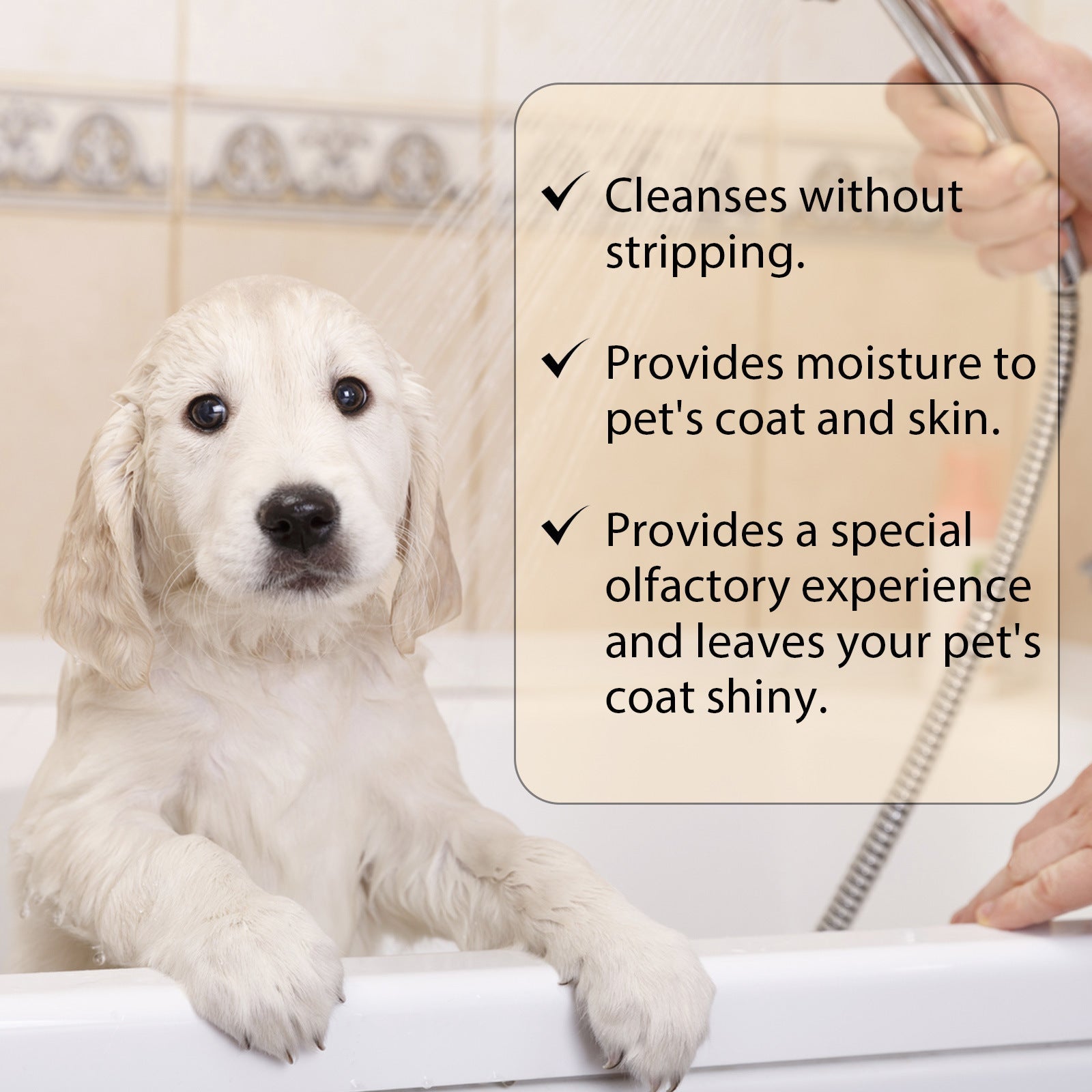 KFX-1608509 Mild and Clean Pet Shampoo for Dogs and Cats - Softens and Untangles Fur, 100ml & 300ml Options