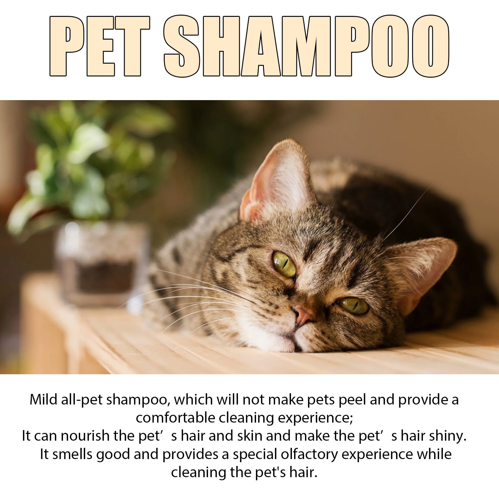 KFX-1608509 Mild and Clean Pet Shampoo for Dogs and Cats - Softens and Untangles Fur, 100ml & 300ml Options