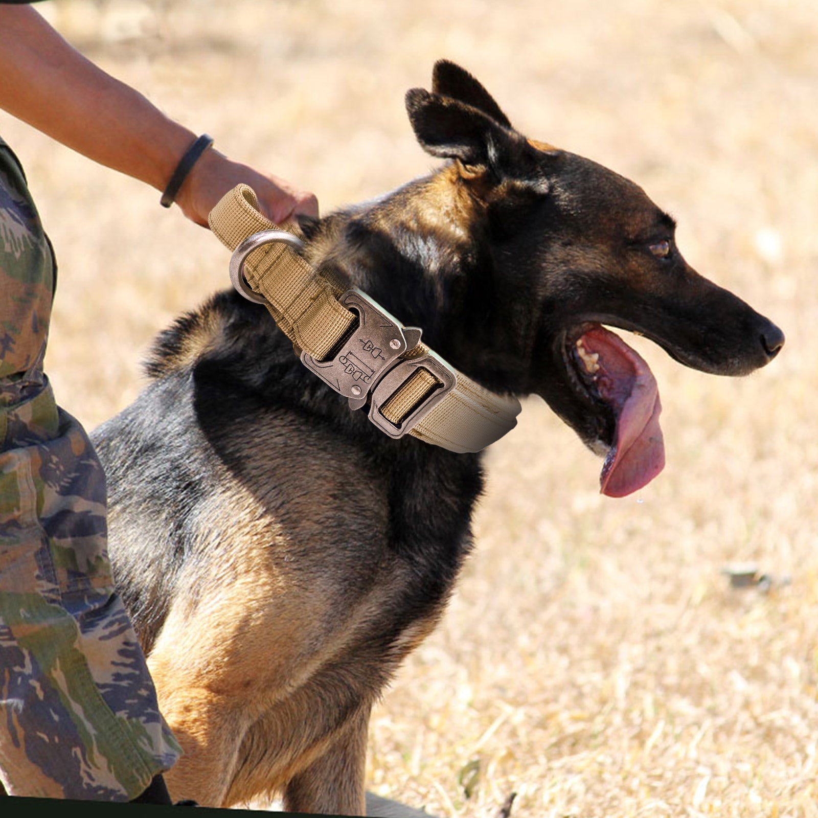 KFX-1608637 Durable Nylon Adjustable Tactical Dog Collar for Medium and Large Breeds - Black, Army Green, Khaki