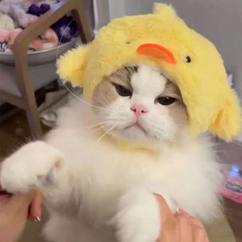 KFX-1614013 Colorful Hand-Knitted Seasonal Pet Hats for Fashionable Pets