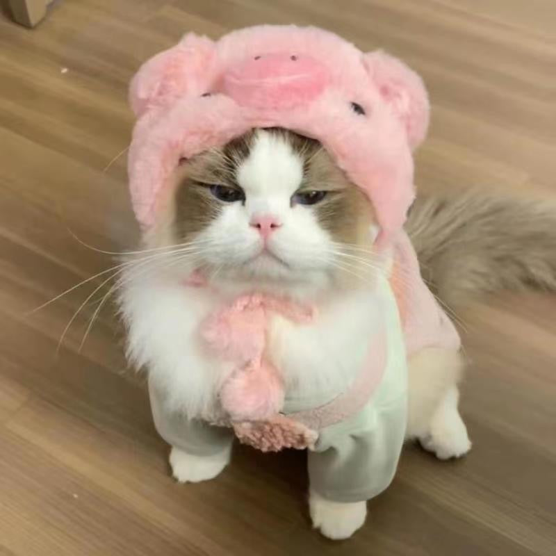 KFX-1614013 Colorful Hand-Knitted Seasonal Pet Hats for Fashionable Pets
