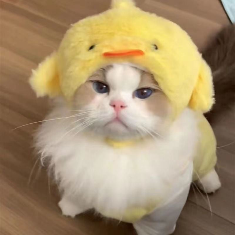 KFX-1614013 Colorful Hand-Knitted Seasonal Pet Hats for Fashionable Pets