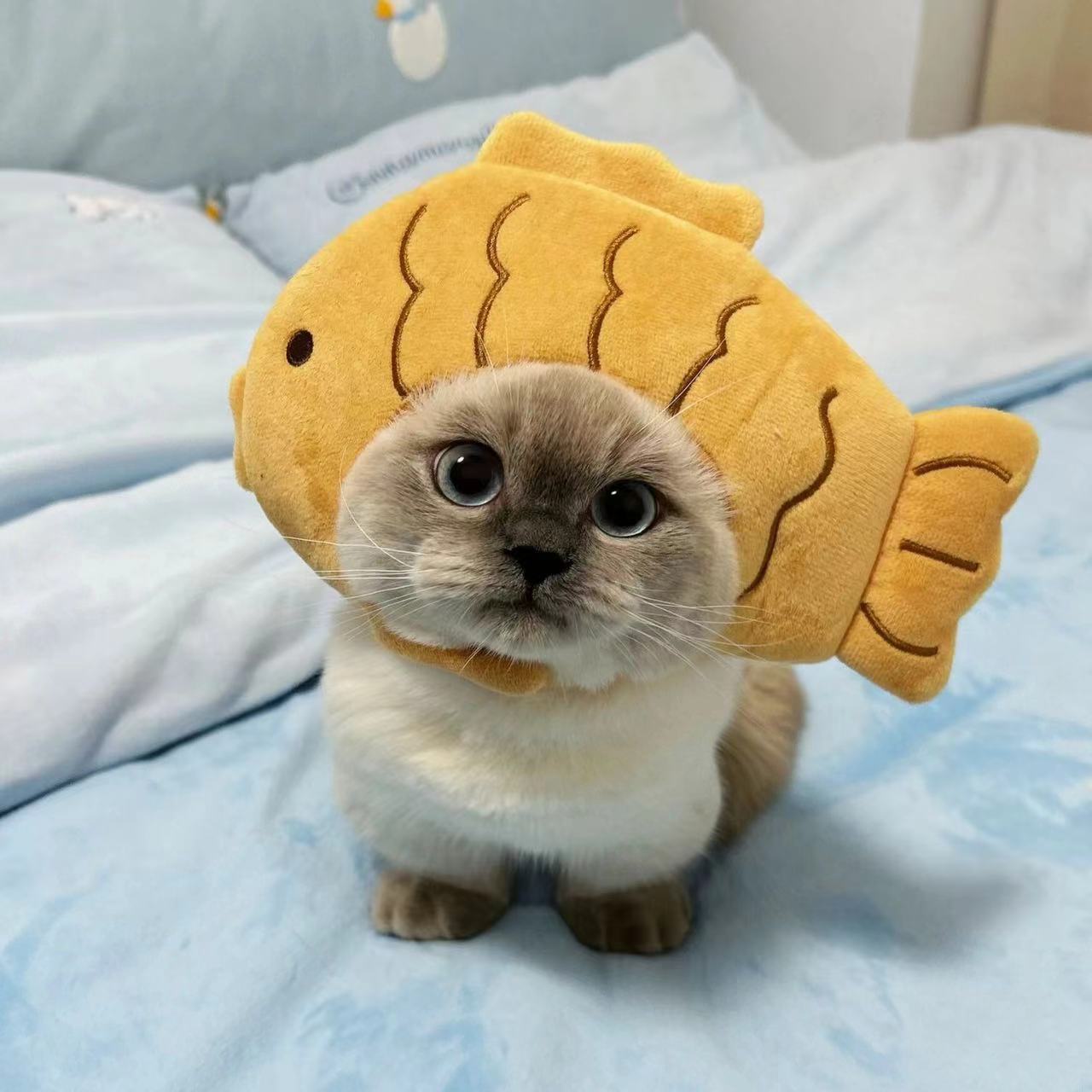 KFX-1614013 Colorful Hand-Knitted Seasonal Pet Hats for Fashionable Pets