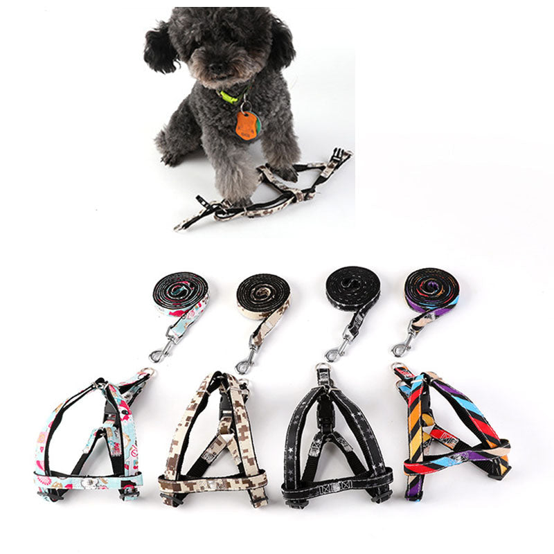 KFX-1616189 Adjustable Nylon Dog Leash with Personalized Print for All Seasons