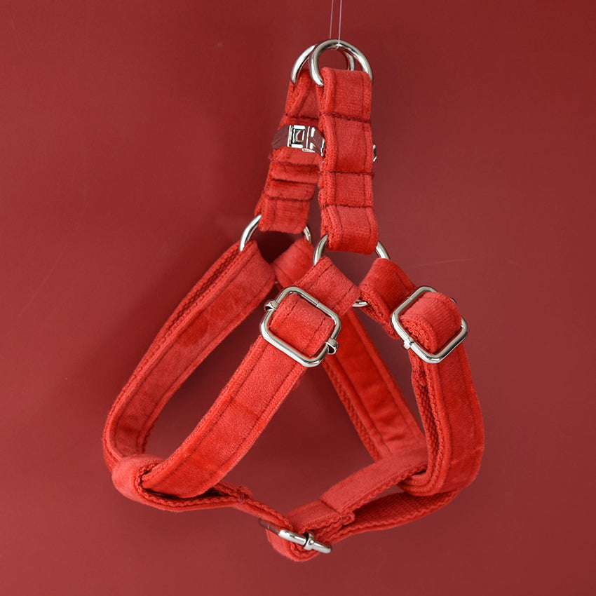 KFX-1627197 Red Flannel Adjustable Dog Harness with Gold Buckle and Matching Leash