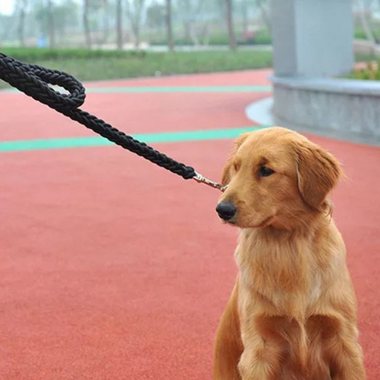 KFX-1627709 Eight-Strand Braided Nylon Dog Leash for Golden Retrievers - Various Sizes Available