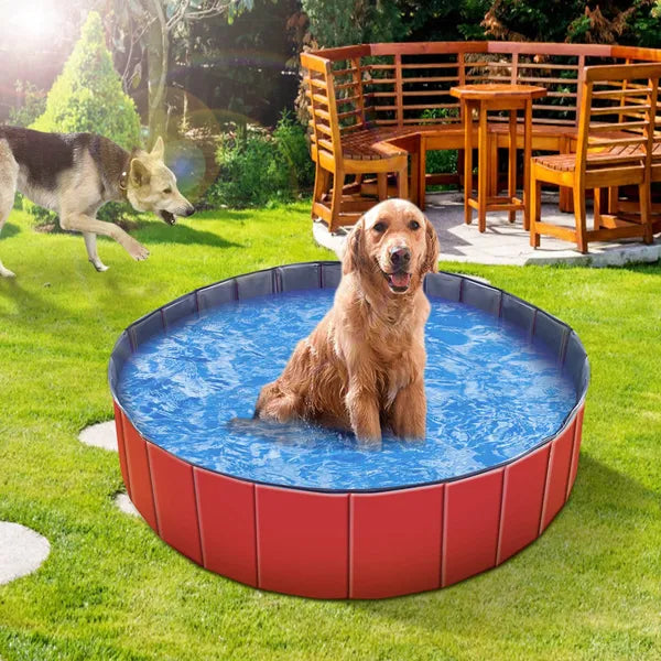 KFX-1629885 Foldable PVC Pet Swimming Pool for Dogs and Kids - Portable Bathing Tub and Playmat