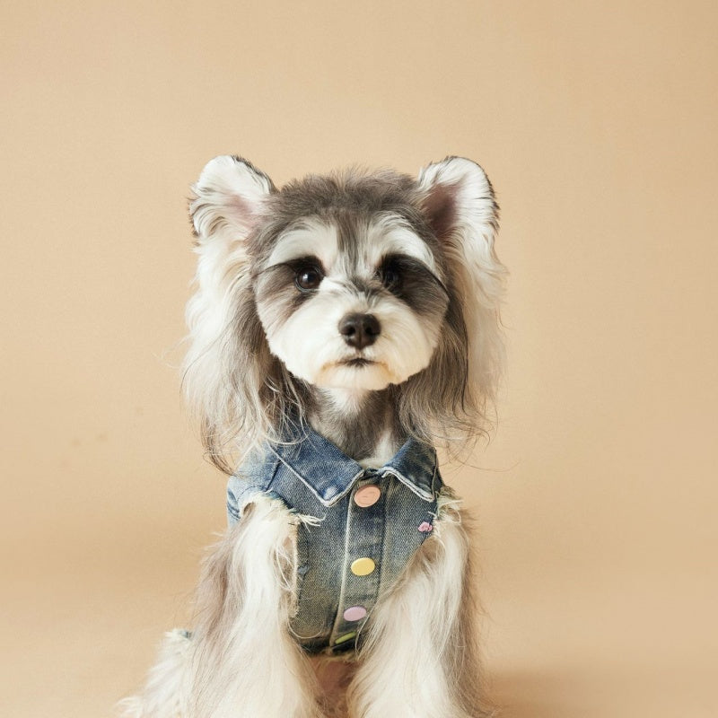 KFX-1632445 Maltese Schnauzer Sleeveless Denim Vest with Embroidered Design for Pets