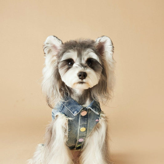 KFX-1632445 Maltese Schnauzer Sleeveless Denim Vest with Embroidered Design for Pets