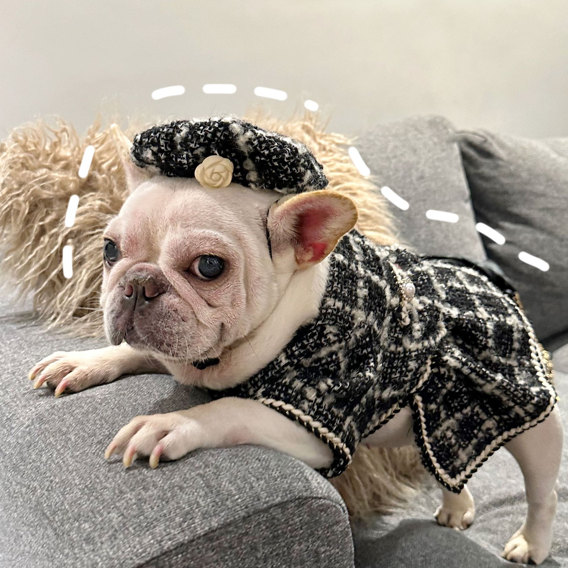 KFX-1632701 Plaid Cashmere Pet Clothing in Black and Red - Free Size (40CM Inner Head Circumference)