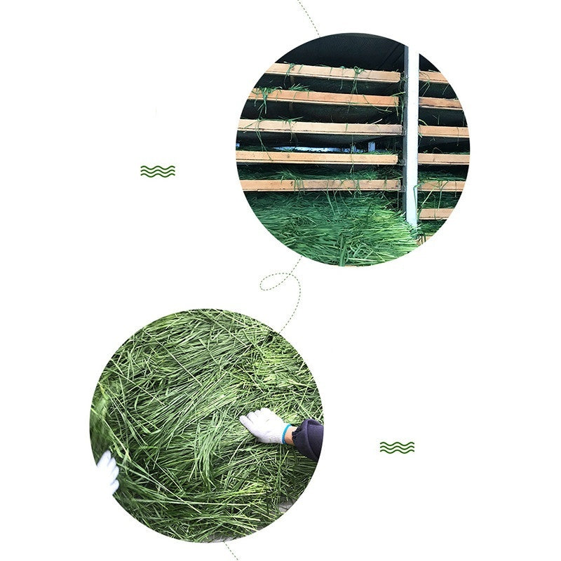 KFX-1633725 Dried Timothy Grass for Small Pets - Chinchillas, Guinea Pigs, Rabbits, 1kg Pack