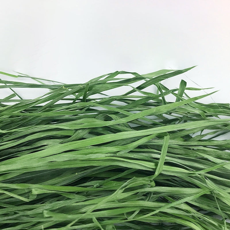 KFX-1633725 Dried Timothy Grass for Small Pets - Chinchillas, Guinea Pigs, Rabbits, 1kg Pack