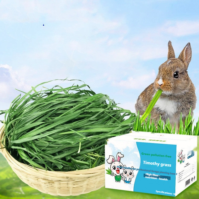 KFX-1633725 Dried Timothy Grass for Small Pets - Chinchillas, Guinea Pigs, Rabbits, 1kg Pack