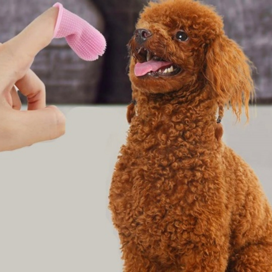 KFX-1636285 Silicone 360-Degree Finger Toothbrush for Deep Oral Cleaning of Dogs and Cats