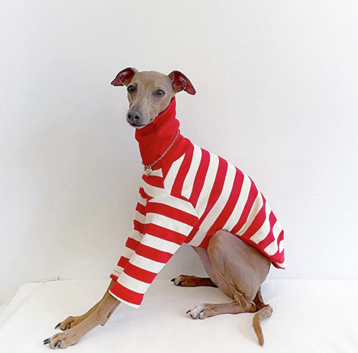 KFX-1639997 High Collar Striped Red and Black Cotton Stretch Dog Outfit for All Seasons