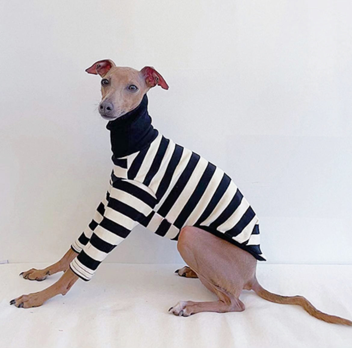 KFX-1639997 High Collar Striped Red and Black Cotton Stretch Dog Outfit for All Seasons