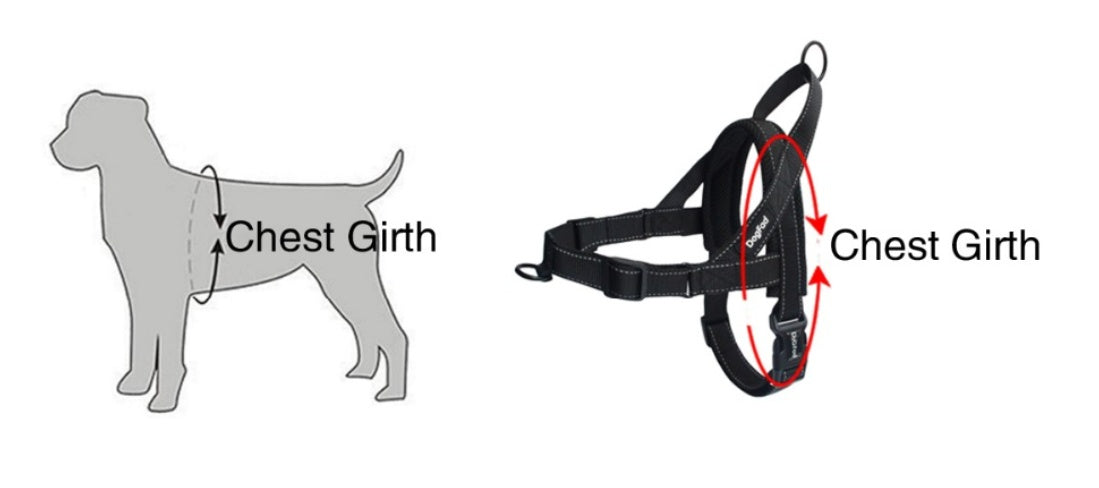 KFX-1642685 Adjustable Nylon Dog Chest Strap for Comfortable Fit - Multiple Sizes Available