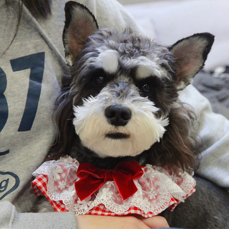KFX-1646781 Cute Triangle Scarf for Dogs and Cats – Red Accessory in Various Sizes