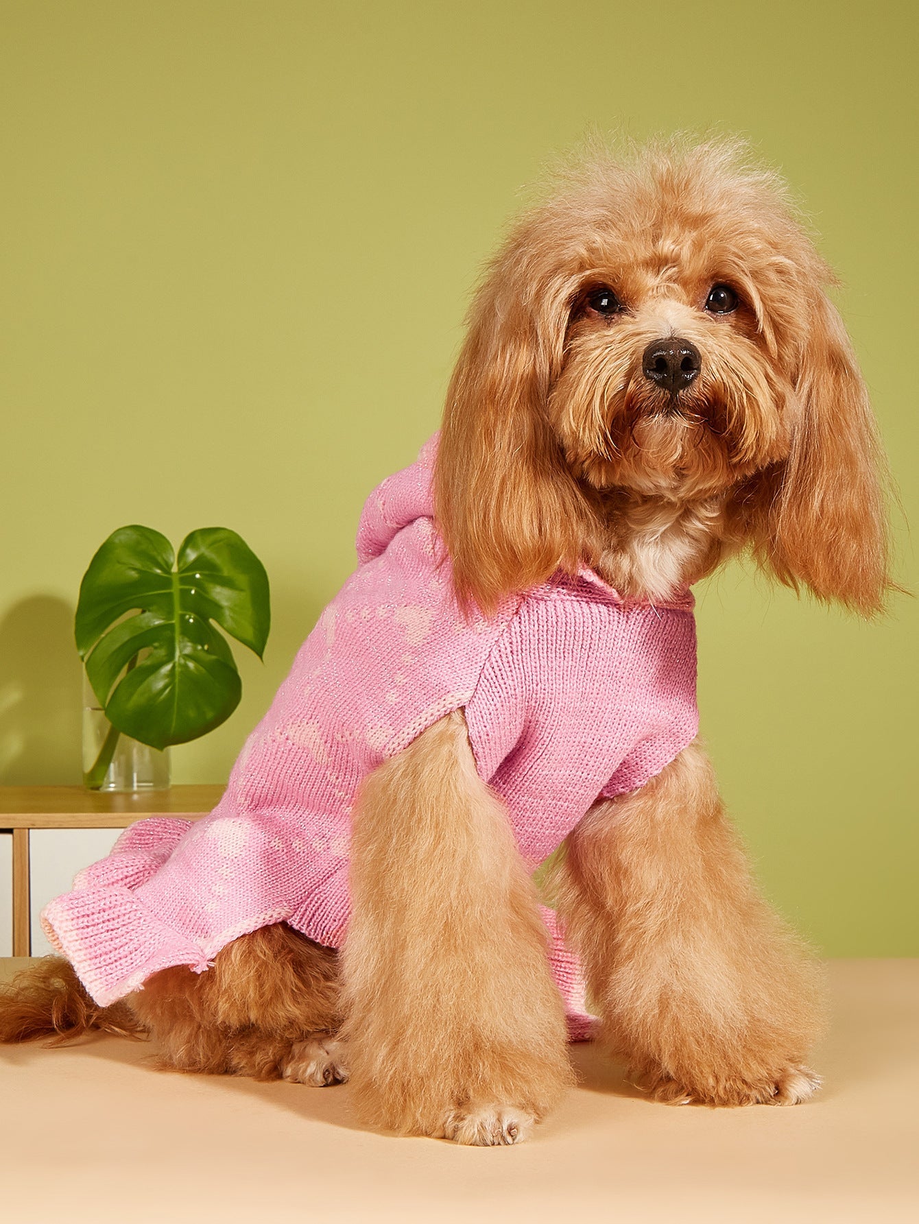 KFX-1647165 Cute Winter Knit Small Dog Sweater Hoodie with Heart Design