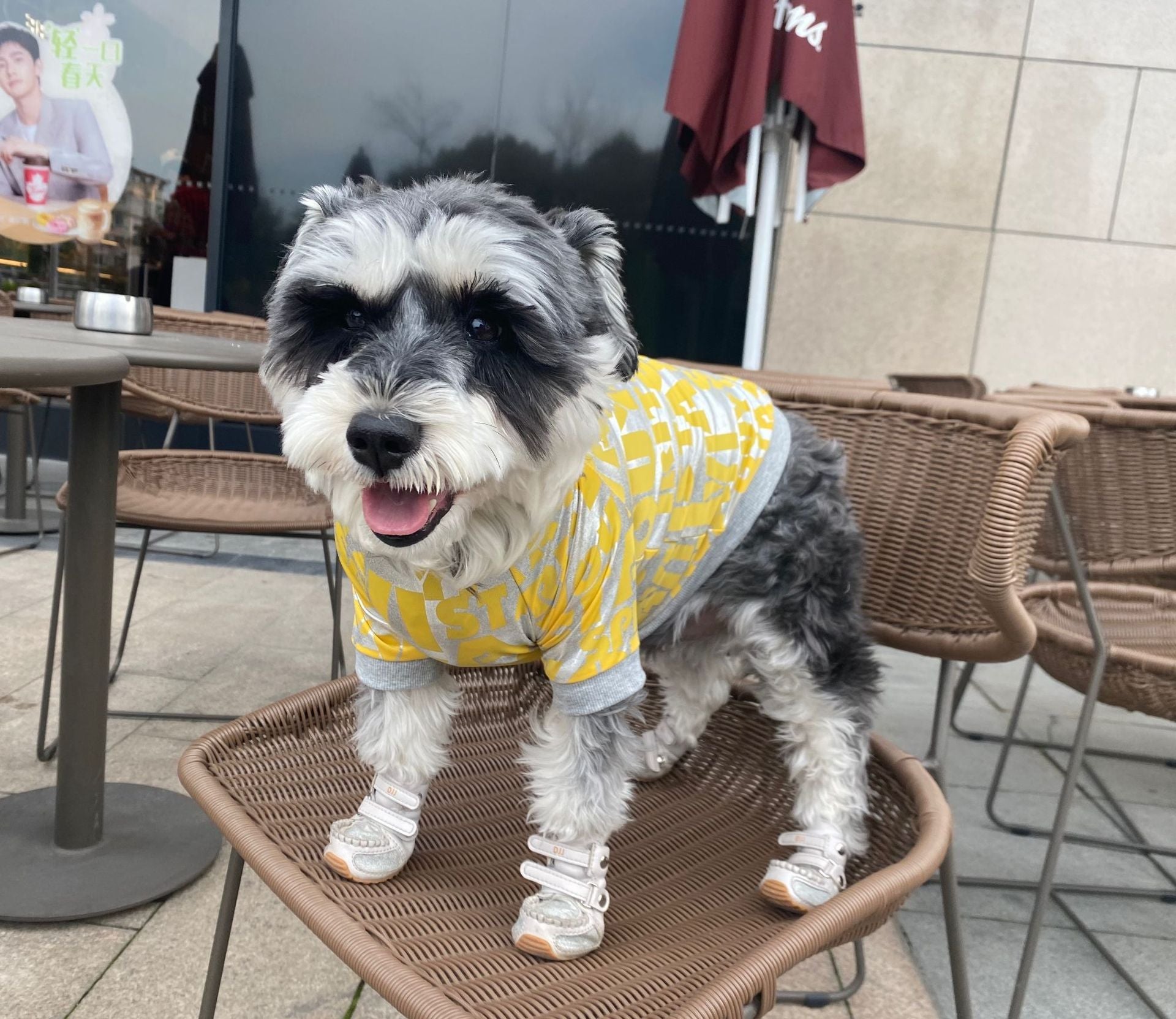 KFX-1649725 Dog Tide Spring Summer T-shirt for Pets – Polyester, Rose Red & Yellow, Sizes S-XL